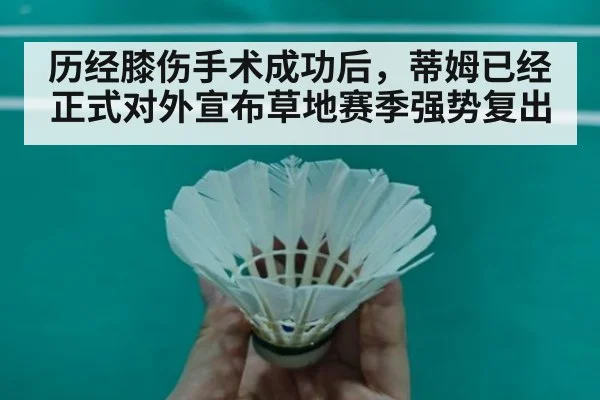 历经膝伤手术成功后，蒂姆已经正式对外宣布草地赛季强势复出