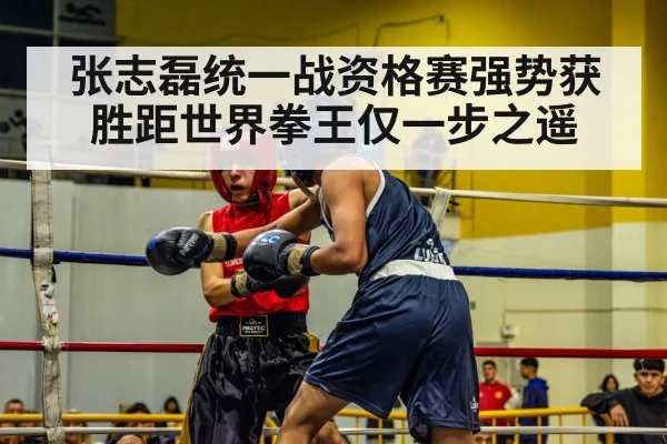 张志磊统一战资格赛强势获胜距世界拳王仅一步之遥