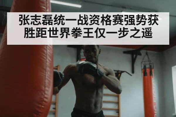 boxer training heavy bag